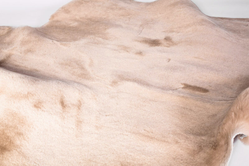 Peau de mouton - Les cuirs Bermont